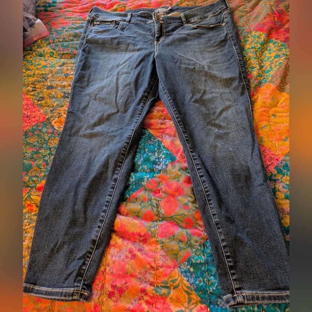 Classic Blue Women's Jeans size 22